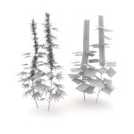 Low Poly Plants dandelion flowers