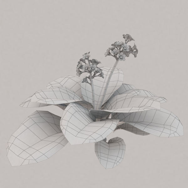 Low Poly Plants dandelion flowers