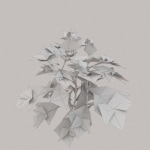 Low Poly Plants dandelion flowers