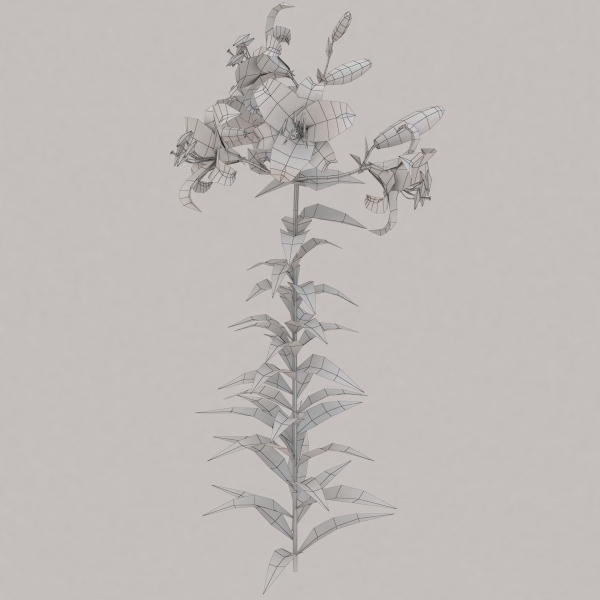 Low Poly Plants dandelion flowers