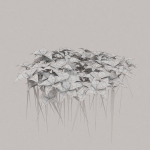 Low Poly Plants dandelion flowers