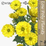 Low Poly Plants dandelion flowers