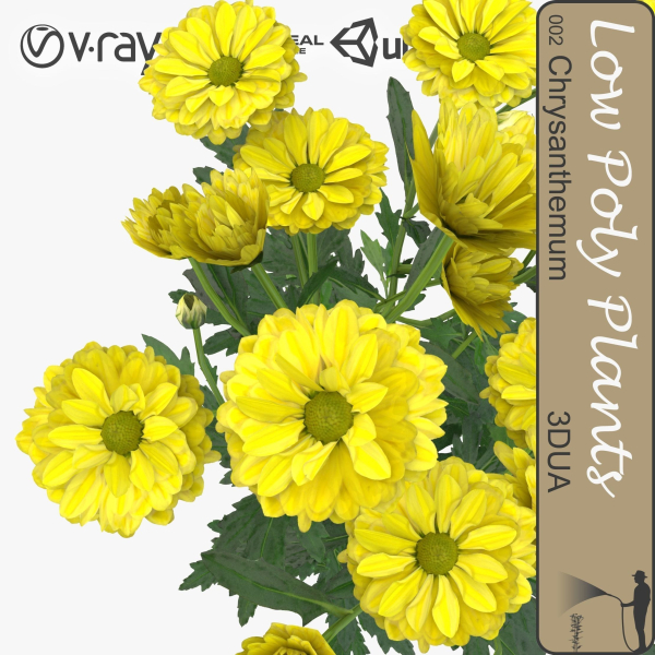 Low Poly Plants dandelion flowers