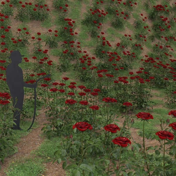 Low Poly Plants dandelion flowers