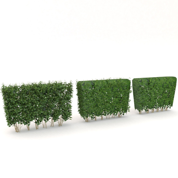 Low Poly Plants dandelion flowers