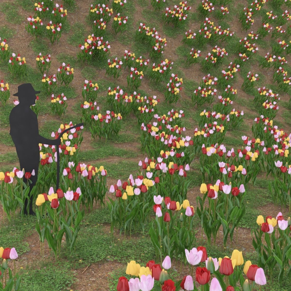 Low Poly Plants dandelion flowers