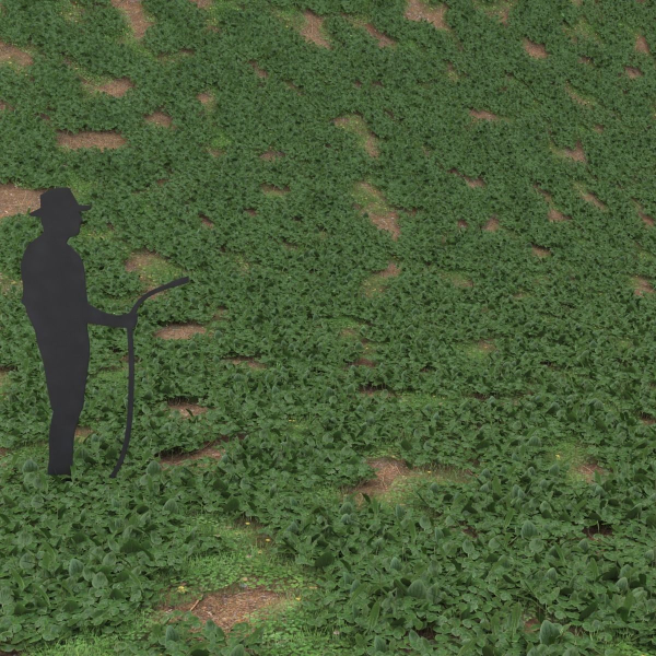 Low Poly Plants dandelion flowers