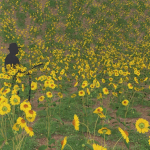 Low Poly Plants dandelion flowers
