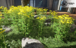 Low Poly Plants dandelion flowers