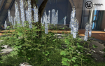 Low Poly Plants dandelion flowers