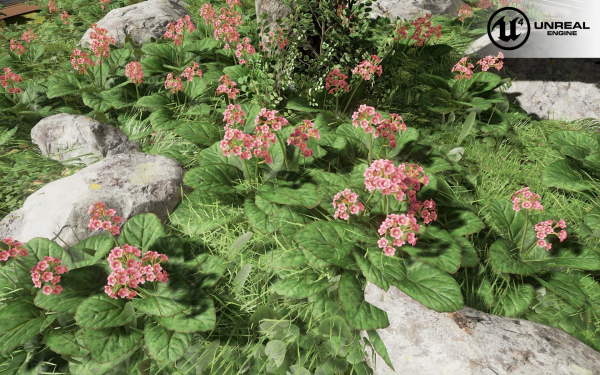 Low Poly Plants dandelion flowers
