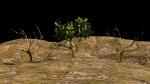 Low-poly Tree collection -