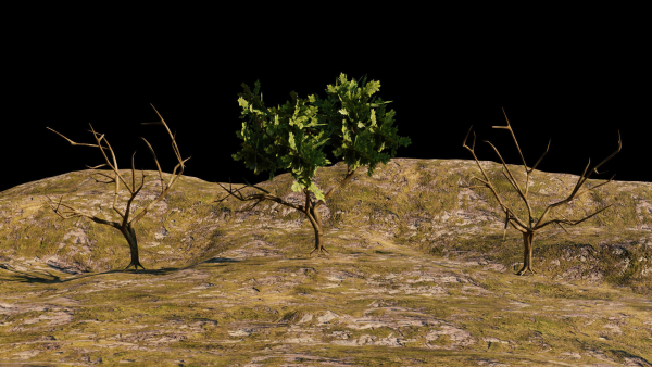 Low-poly Tree collection -