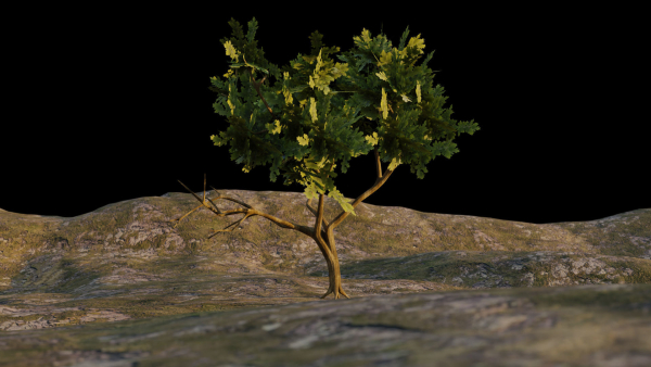 Low-poly Tree collection -
