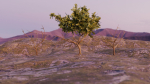 Low-poly Tree collection -