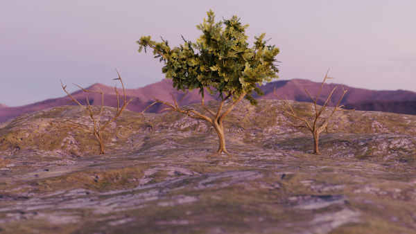 Low-poly Tree collection -