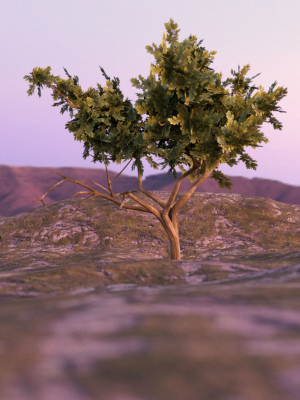 Low-poly Tree collection -