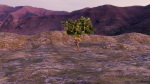 Low-poly Tree collection -
