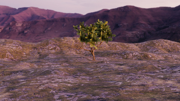 Low-poly Tree collection -