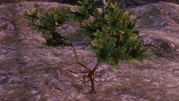 Low-poly Tree collection -