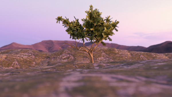 Low-poly Tree collection -