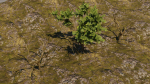 Low-poly Tree collection -