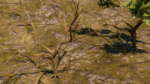 Low-poly Tree collection -