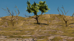 Low-poly Tree collection -