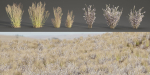 Low poly wild grass collection vol 201-Blender