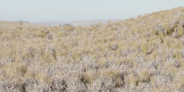 Low poly wild grass collection vol 201-Blender