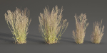 Low poly wild grass collection vol 201-Blender