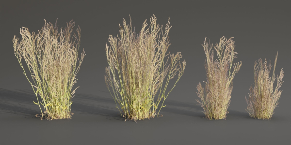 Low poly wild grass collection vol 201-Blender