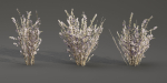 Low poly wild grass collection vol 201-Blender