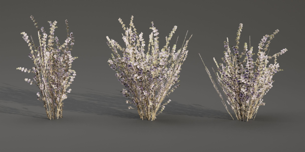 Low poly wild grass collection vol 201-Blender