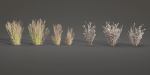 Low poly wild grass collection vol 201-Blender