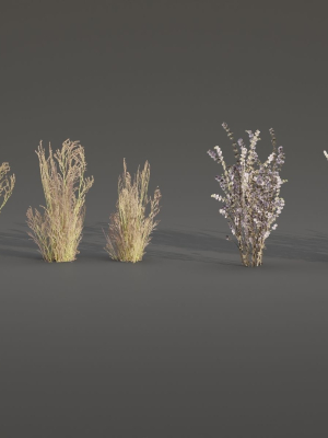 Low poly wild grass collection vol 201-Blender