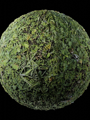 low-vegetation-4-3d-model-obj-fbx-stl-blend-dae-abc