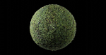 Low Vegetation 4