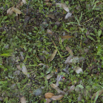 Low Vegetation 7