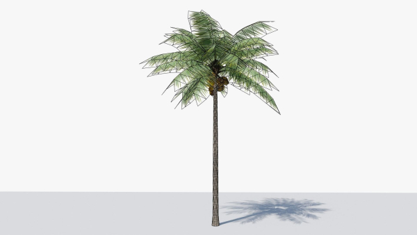 Lowpoly Coconut Palm v1