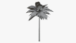 Lowpoly Coconut Palm v1