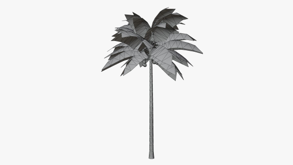 Lowpoly Coconut Palm v1