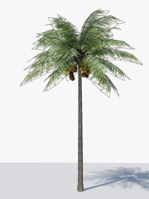 lowpoly-coconut-palm-v1-3d-model-4b5af8a990