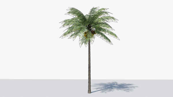 Lowpoly Coconut Palm v1