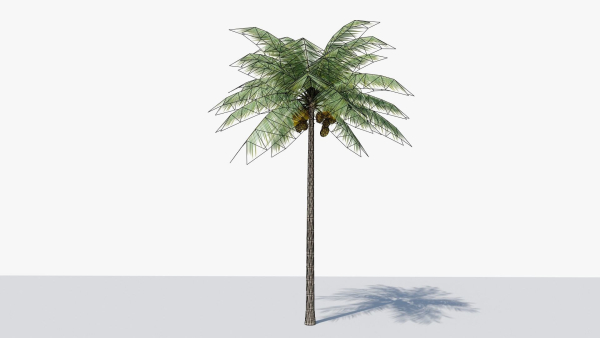 Lowpoly Coconut Palm v1