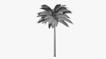 Lowpoly Coconut Palm v1