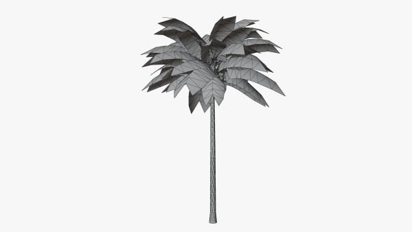 Lowpoly Coconut Palm v1
