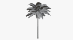 Lowpoly Coconut Palm v1