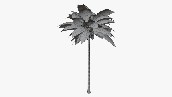 Lowpoly Coconut Palm v1