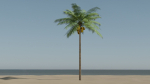 Lowpoly Coconut Palm v1